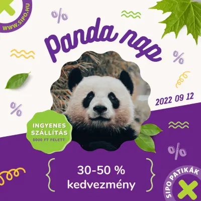 SIPO Panda nap (2022.09.12.)