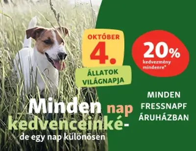 20% kedvezmény a teljes áras termékekre (2022.10.04.)