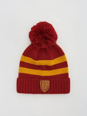 Harry Potter beanie sapka (5652I-83X)