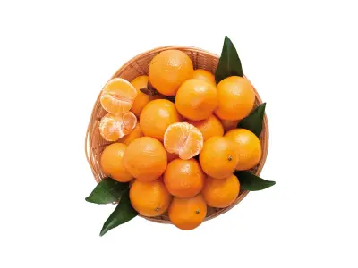 Mandarin (kilós ár)