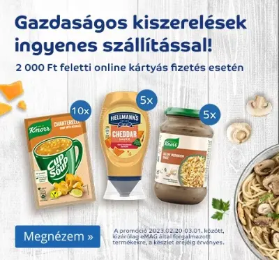 Ingyenes szállítás 2 ezer Ft felett a megjelölt termékekkel