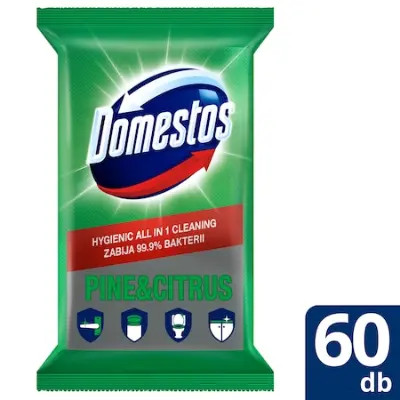 DOMESTOS higiénikus törlőkendő, 2x60 db, többféle