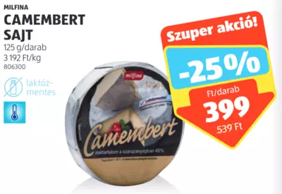 Milfina Camembert sajt, 125 g