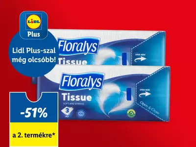 Floralys Papír zsebkendő, 100 db (2 db vásárlásánál)