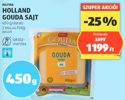 Milfina Holland Gouda Sajjt, 450 g