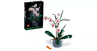 LEGO® Icons Orchidea 10311