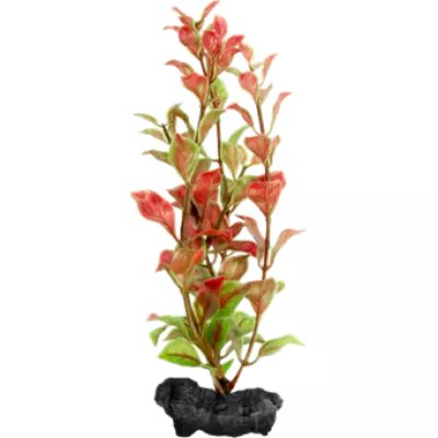 Tetra Decoart Plant S Red Ludwigia