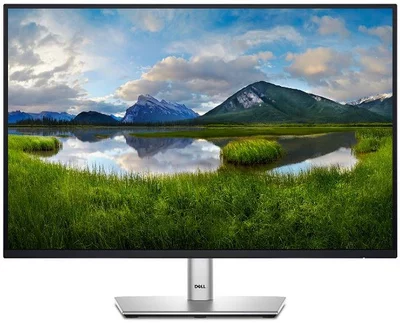 24" Dell P2425 Professional LCD monitor