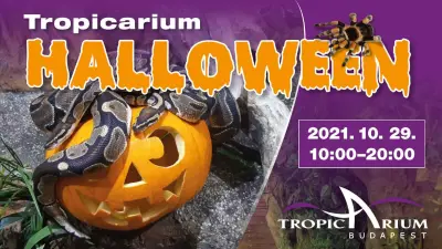 Tropicarium - jelmezben vagy faragott tökkel ingyen belépés 14 év alatt