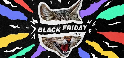 Black Friday Sale