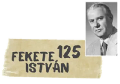 Fekete István 125 (40% kedvezmény)