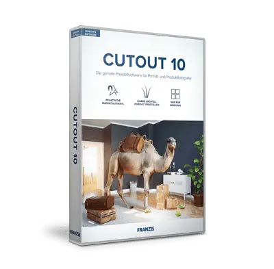 CutOut 10 (PC)