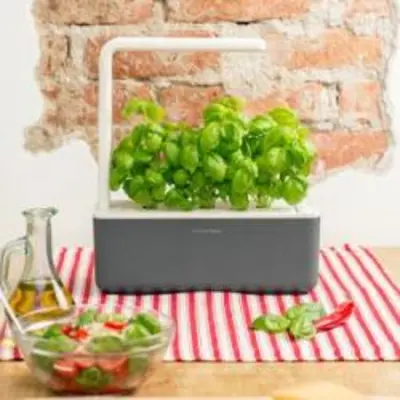 Click and Grow Smart Garden 3 intelligens ültető + 3db kapszula bazsalikom magokkal, fehér színben (SGS1UNI)