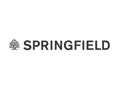 Springfield - 35% Mindenre