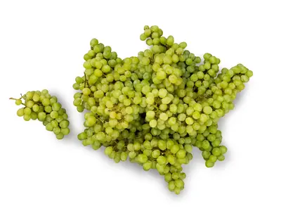 Mag nélküli fehér szőlő, 500 g / csomag