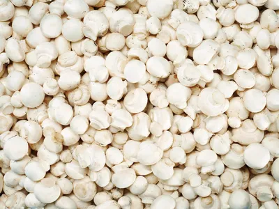 Csiperkegomba, 750 g / csomag
