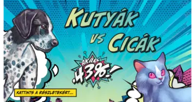 Cicák vs Kutyák társasjátékok