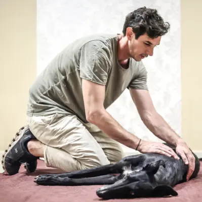 Kutya terápiás kezelése 15% kedvezmény