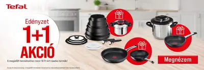 1+1 edényzet akció