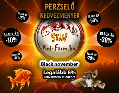 Black november - perzselő kedvezmények 2025-ben a Sun Koi-farmon