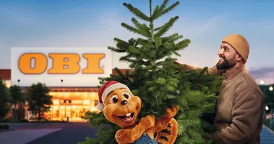 10% kedvezmény OBI fenyőfára (+10% kupon későbbre)