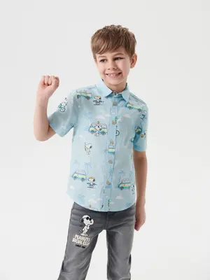 Ing Peanuts (326DZ-05X)