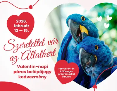 Budapesti Állatkertbe Valentin-napi páros belépőjegy kedvezmény és programok