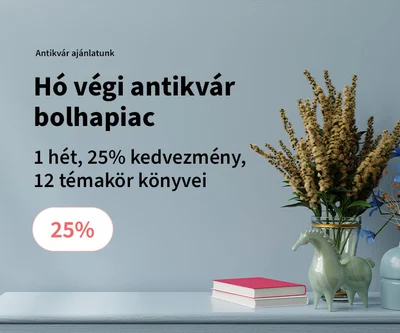 Hó végi antikvár bolhapiac (-25%)