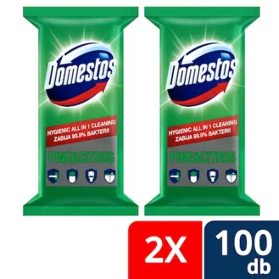 DOMESTOS higiénikus törlőkendő, többféle, 2x100 db